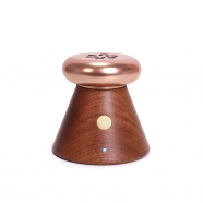 Mini Waterless Diffuser for Essential Oil,Portable Wooden Battery Operated USB Diffusers for Room, Car,Bedroom,Bathroom
