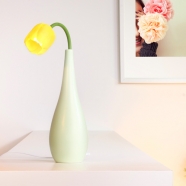 ����Ϧ�ɣ�������LED̨�ƣ�