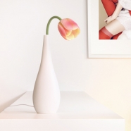 ����Ϧ�ɣ�������LED̨�ƣ�