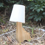 ɭ�ֳ���̨�ơ����ǹ�С��