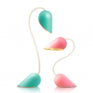 ������LEDѧϰ�Ķ��ƣ�