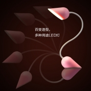 ������LEDѧϰ�Ķ��ƣ�