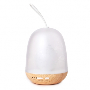 �Ųʶ�ʱ�ƣ�Сҹ�ƣ�ľ�ư�